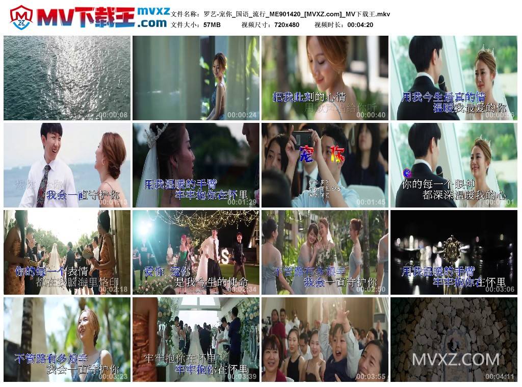 罗艺-宠你_国语_流行_ME901420
